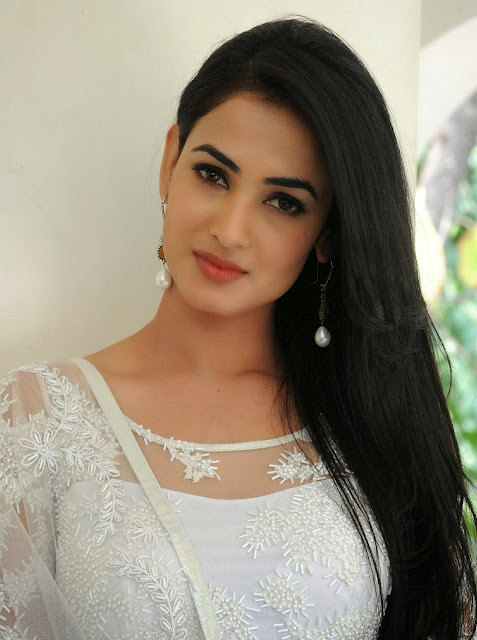 Sonal Chauhan in White Saree at Legend Movie Success Meet